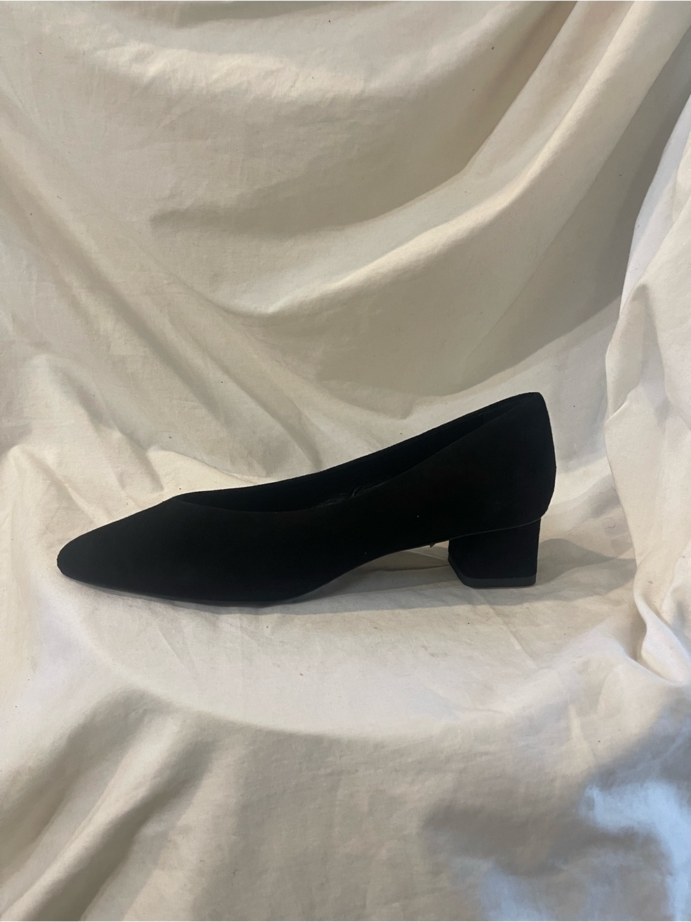 Everlane Suede Almond Toe Pumps